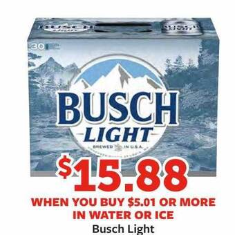 Fareway Busch light offer