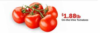 Fareway On-the-vine tomatoes offer