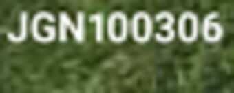 Ace Hardware 3-lb., costello's premium grass seed offer