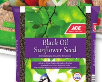 Ace Hardware Ace® 5-lb. black oil sunflower seed offer