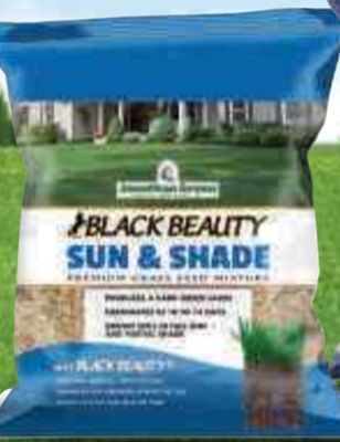 Ace Hardware Jonathan green® 3 lb. black beauty grass seed offer