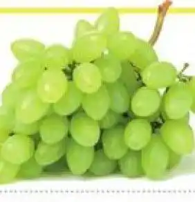 Lidl Seedless grapes offer