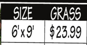 Ollie's 6' x 9' indoor/outdoor grass offer