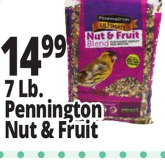 Ocean State Job Lot Pennington® ultimate nut & fruit blend wild bird seed, 7 lbs offer