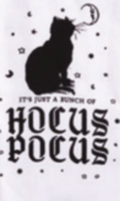 Ocean State Job Lot Disney hocus pocus cotton kitchen towels, 2-count offer