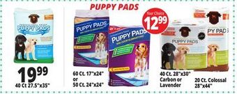 Ocean State Job Lot Puppy pads offer