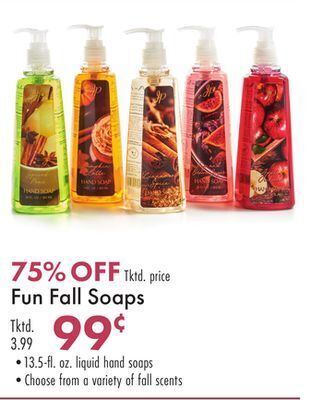 Boscov's Fun fall soaps offer