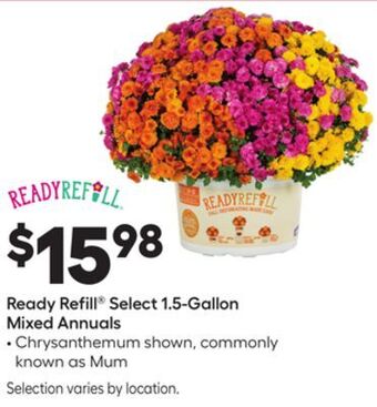 Lowe's Ready refill® select 1.5-gallon mixed annuals offer