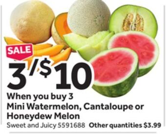 Stop&Shop Mini watermelon, cantaloupe or honeydew melon offer