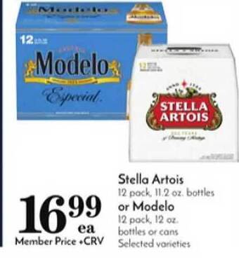 Pavilions Stella artois or modelo offer