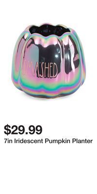 TJ Maxx 7in iridescent pumpkin planter offer