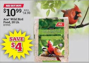 Ace Hardware Ace wild bird food 20 lb offer