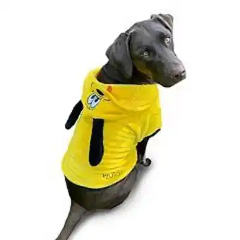 Kohl's Disney's mickey mouse & friends pluto dog costume offer