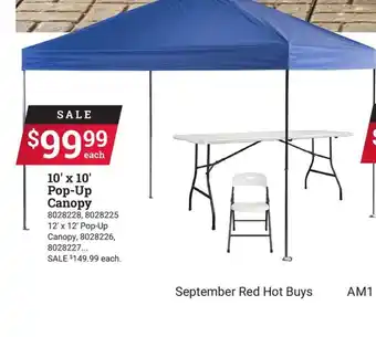 Ace Hardware Pop-up canopy offer