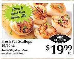 Rosauers Fresh sea scallops offer