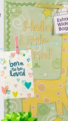 Family Dollar Gift bag xl offer