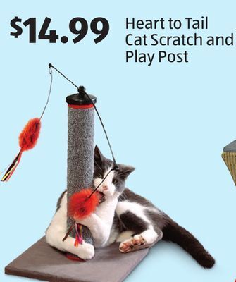 Aldi Heart to tail cat scratch and play post offer