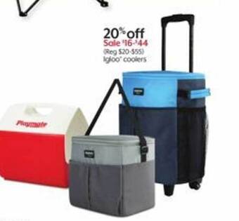 Bealls Igloo coolers offer