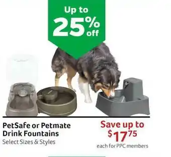 PetSafe Of Petmate Drink Fountains