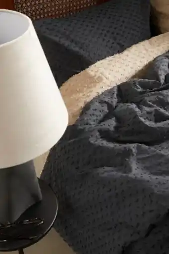H&M Twin duvet cover set with plumeti offer