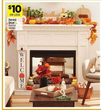 Dollar General Harvest decor offer