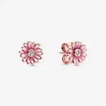 Pandora Pink daisy flower stud earrings offer