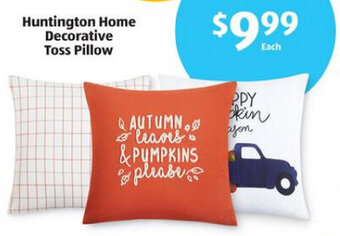 Aldi Huntington Home Decorative Toss Pillow offer