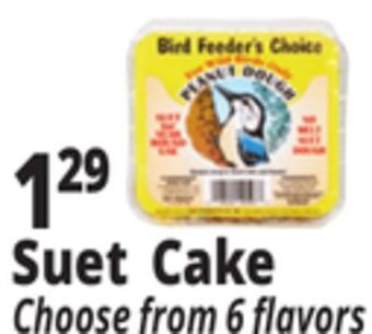 Ocean State Job Lot Suet cake offer