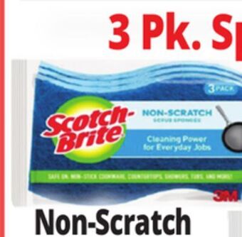 Ocean State Job Lot 3 pk. sponges non-scratch offer