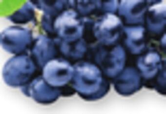 The Fresh Grocer Black seedless grapes offer