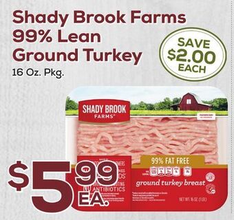 DeCicco & Sons Shady brook farms 99% lean ground turkey offer