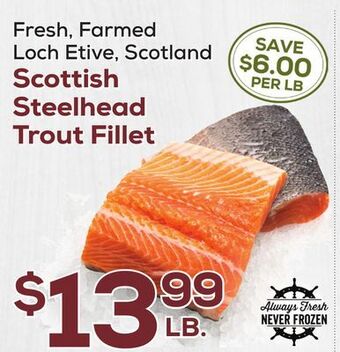 DeCicco & Sons Scottish steelhead trout fillet offer