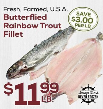 DeCicco & Sons Butterflied rainbow trout fillet offer