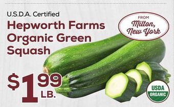DeCicco & Sons Hepworth farms organic green squash offer
