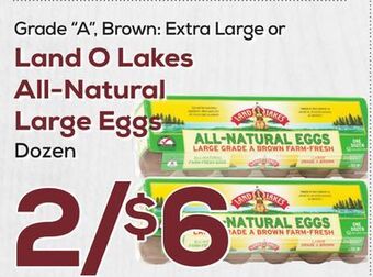 DeCicco & Sons Land o lakes all-natural large eggs offer