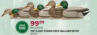 Sportsman's Warehouse Top flight fusion pack mallard decoy offer