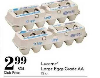 Pavilions Lucerne Large Eggs Grade Aa offer