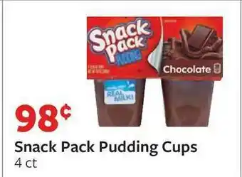 Fareway Snack Pack Pudding Cups offer