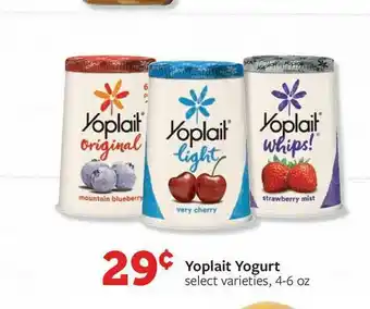 Fareway Yoplait Yoghurt offer