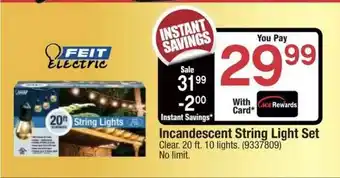 Ace Hardware Incandescent String Light Set Feit Electric offer