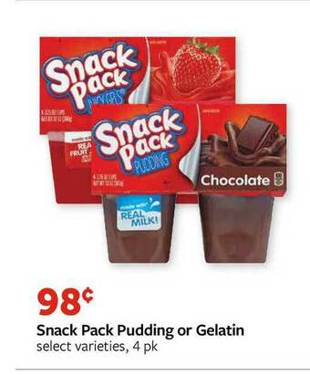 Fareway Snack Pack Pudding Or Gelatin offer