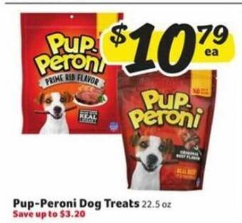 Winn Dixie Pup-peroni dog treats offer