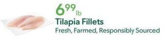 Publix Tilapia Fillets offer