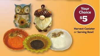 Family Dollar Harvest canister or serving bowl offer