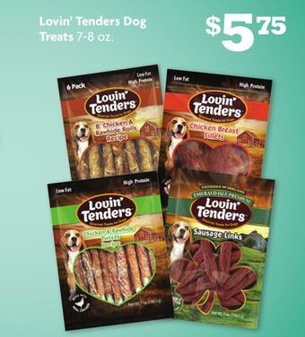 Family Dollar Lovin' tenders dog treats offer