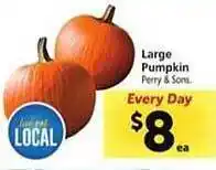 Safeway Large pumpkin offer