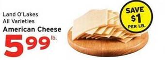 Hannaford American cheese offer