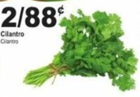 El Rio Grande Cilantro offer