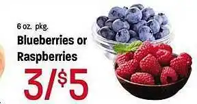 Maceys Blueberries or raspberries offer