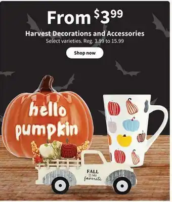 Walgreens Harvest decorations and accessories offer